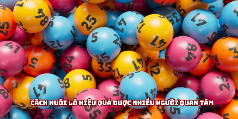 Cách nuôi lô hiệu quả được nhiều người quan tâm