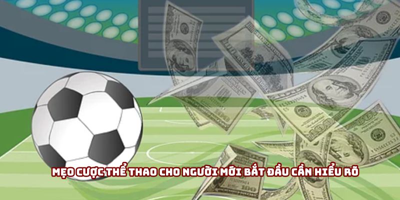 Mẹo cược thể thao cho người mới bắt đầu cần hiểu rõ